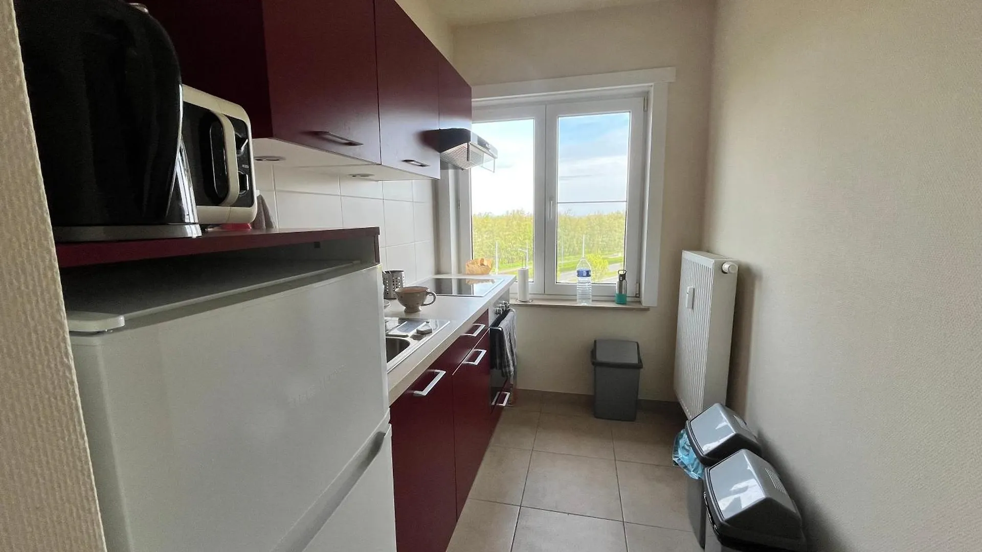 Cozy 2-Bedroom Apartement Within Walking Distance Of The Beach T62 Ostend Apartment